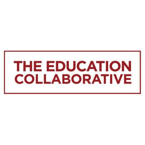 Education Collaborative Engagements and Outcomes Survey for Individuals
